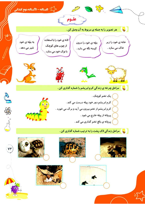 کتاب تابستانه «تاکستانه» کلاس دوم(ورودی سوم)