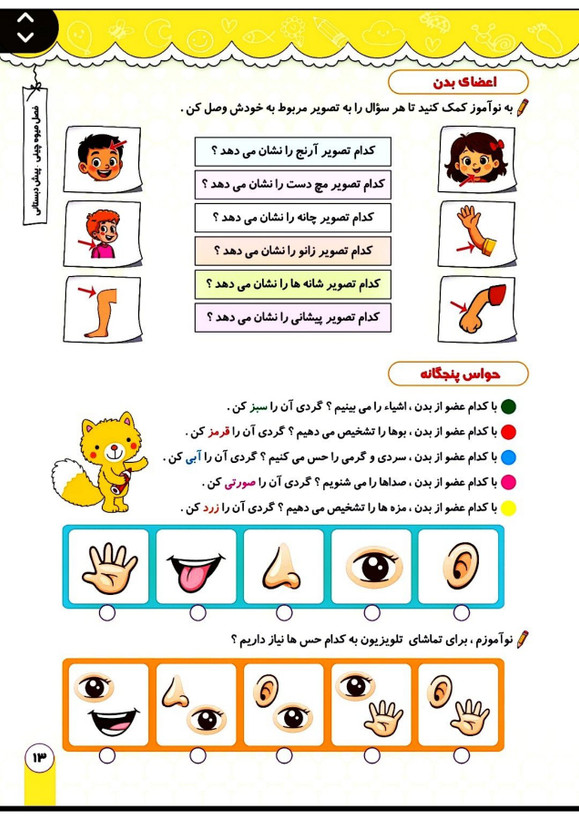 کتاب تابستانه «فصل میوه چینی» پیش دبستانی