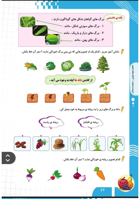 کتاب تابستانه «فصل میوه چینی» کلاس سوم(ورودی چهارم)