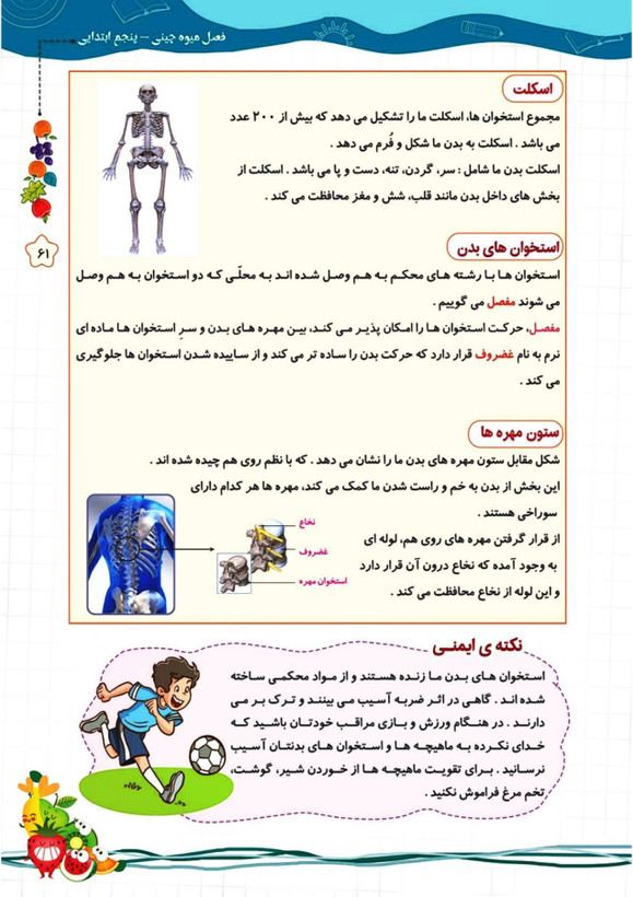 کتاب تابستانه «فصل میوه چینی» کلاس پنجم(ورودی ششم)