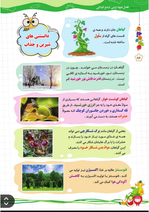 کتاب تابستانه «فصل میوه چینی» کلاس ششم(ورودی هفتم)