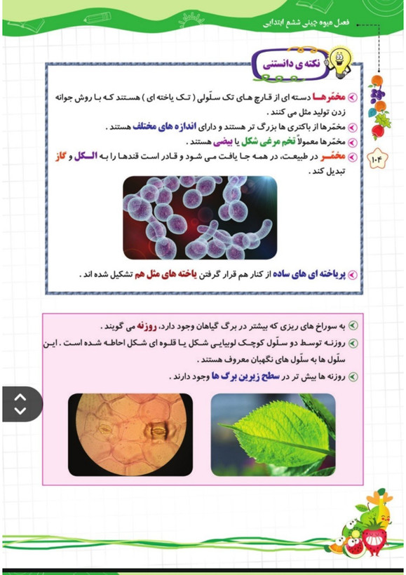 کتاب تابستانه «فصل میوه چینی» کلاس ششم(ورودی هفتم)